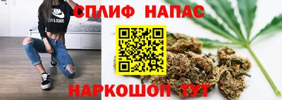 mdpv Краснознаменск