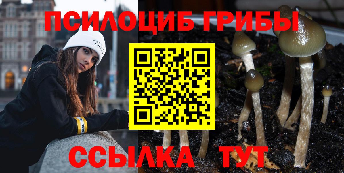 Галлюциногенные грибы мухоморы Балтийск