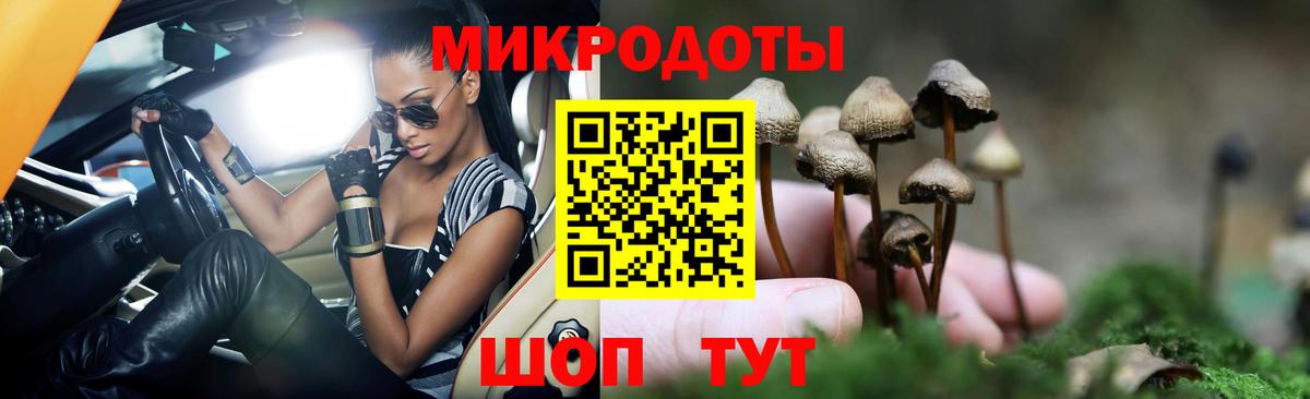 Галлюциногенные грибы мухоморы  Псилоцибиновые грибы мухоморы  Вход с VPN  цена наркотик  Балтийск 