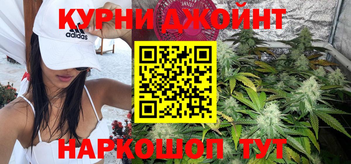 Бошки Шишки конопля Балтийск